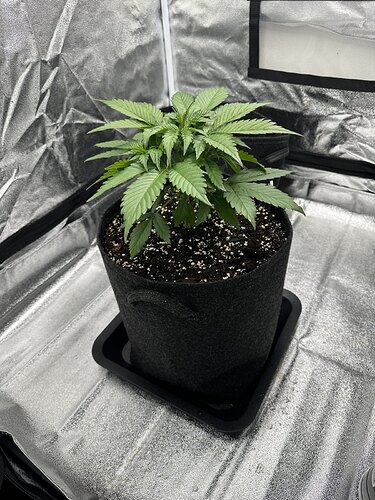 signal-2024-08-23-204825_002