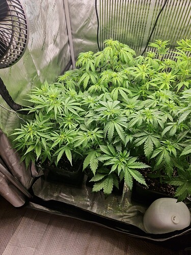 WhatsApp Bild 2024-05-05 um 08.00.47_d1aef8ff