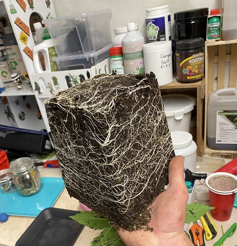 Growreport Bild 14