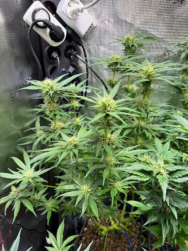 Growreport Bild 24