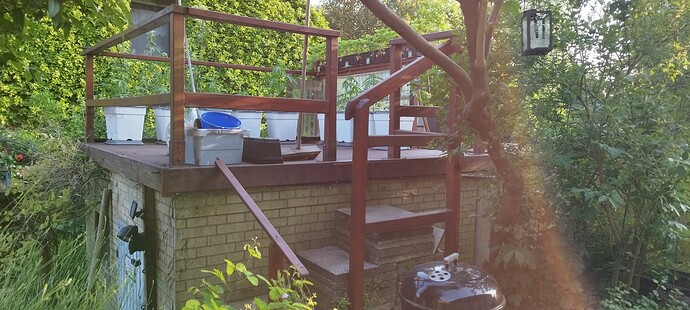 Growreport Bild 29