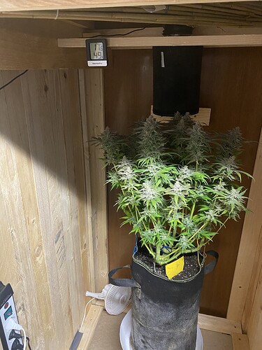 Growreport Bild 7