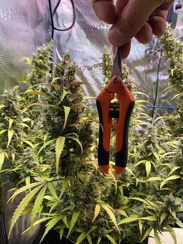 Growreport Bild 21