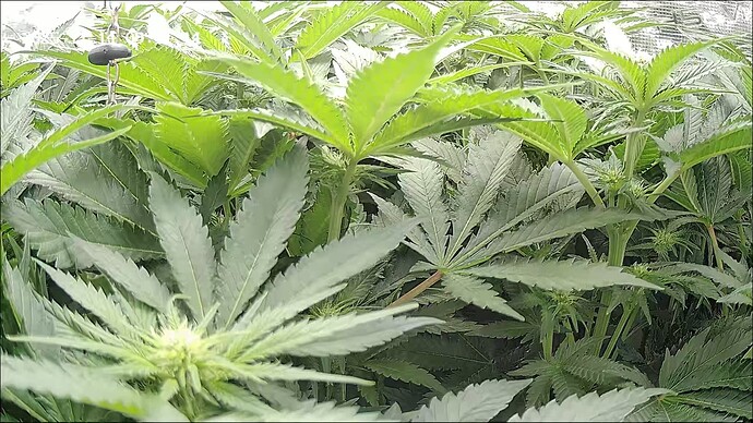 Growreport Bild 24