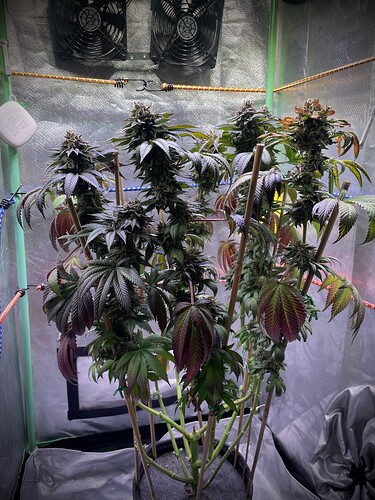 Growreport Bild 9