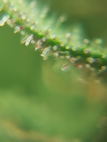 Growreport Bild 10