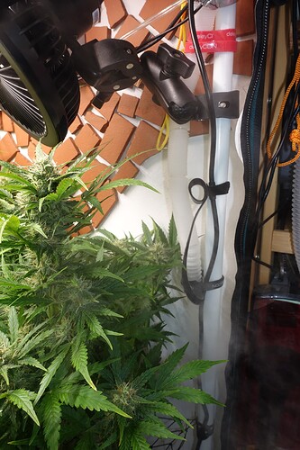 Growreport Bild 10