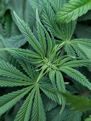 PXL_20241006_190113822~2