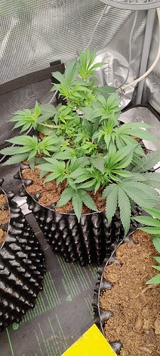 IMG_20251008_100902599