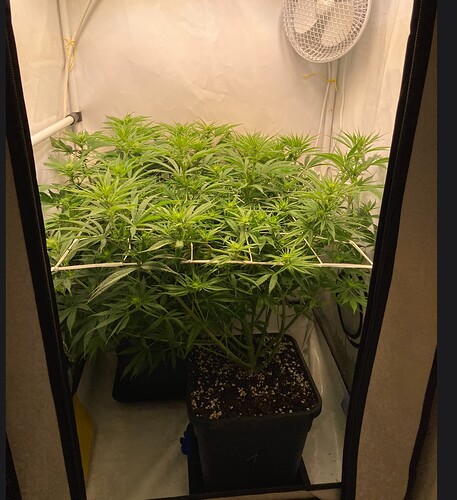 Growreport Bild 8