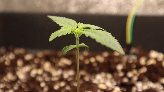 Growreport Bild 22