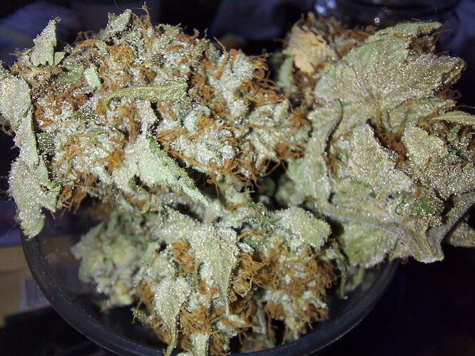 Growreport Bild 2