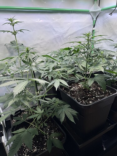 Growreport Bild 21