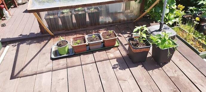 Growreport Bild 10
