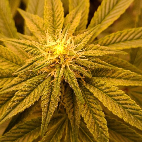 474591569_122165274356293599_8365795624559947285_n