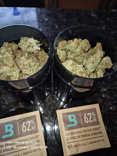 Growreport Bild 7