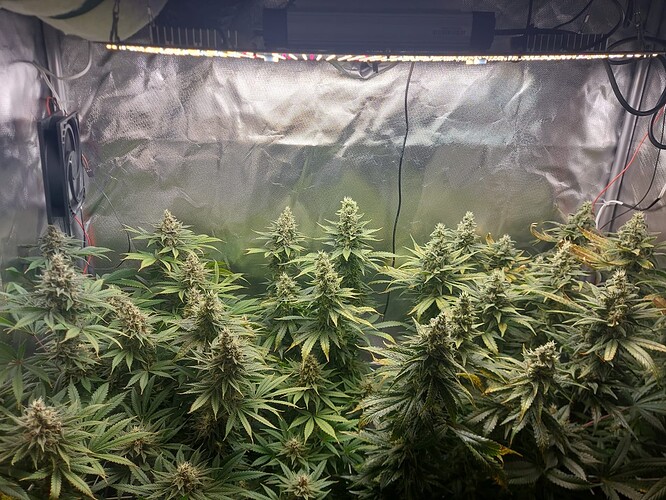 Growreport Bild 6