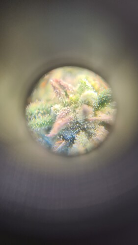 Growreport Bild 10