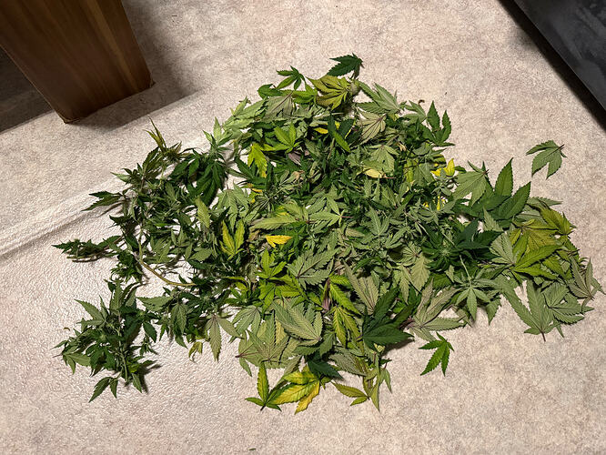 Growreport Bild 17