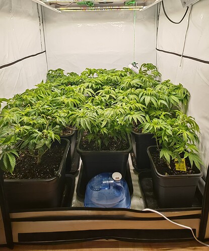 Growreport Bild 16