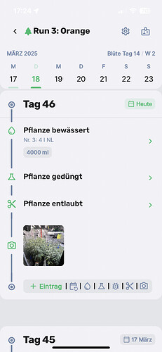 Growreport Bild 7