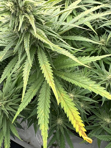 Growreport Bild 10