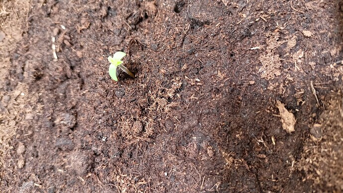 Growreport Bild 26