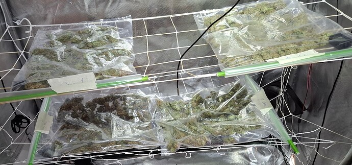 Growreport Bild 1