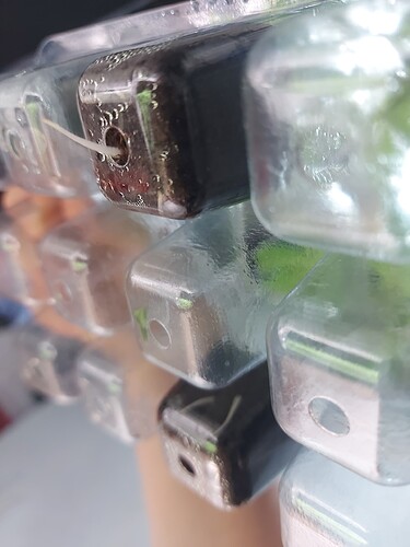 Growreport Bild 6