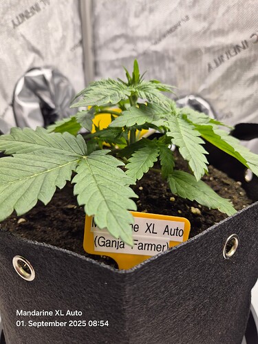Growreport Bild 13
