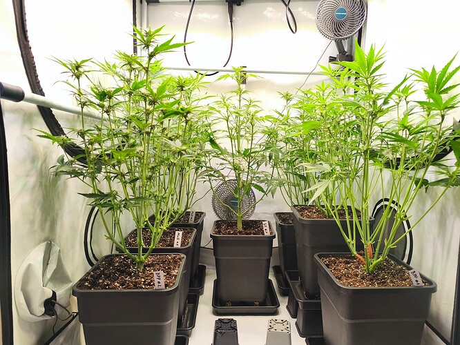Growreport Bild 4