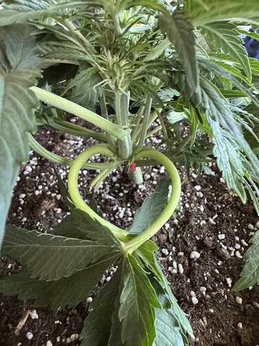 Growreport Bild 10