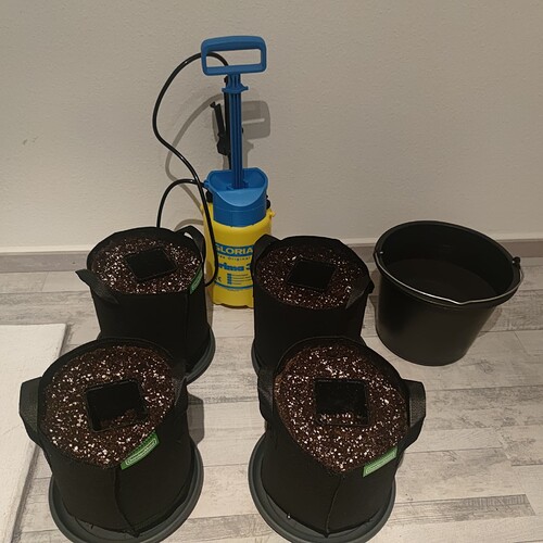 Growreport Bild 18