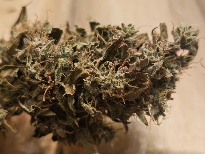 Growreport Bild 5