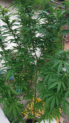 Growreport Bild 14