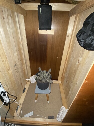 Growreport Bild 5