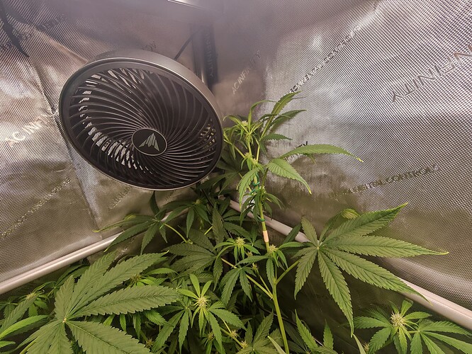 Growreport Bild 10