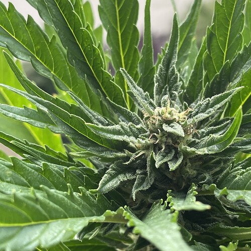 Growreport Bild 12