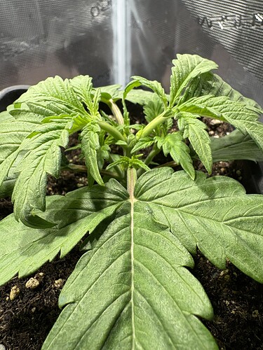 Growreport Bild 14