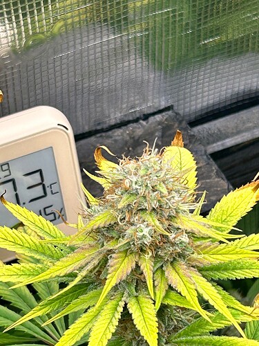 Growreport Bild 9