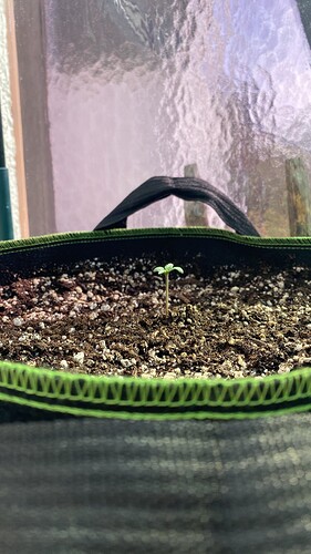 Growreport Bild 4