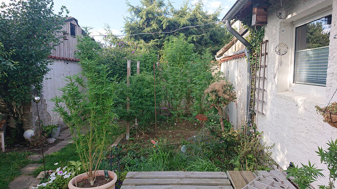 DSC5085