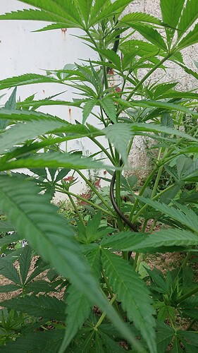 Growreport Bild 19