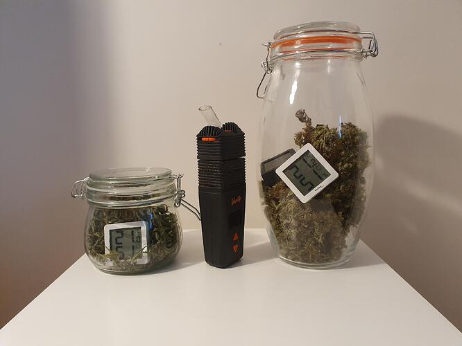 Growreport Bild 1