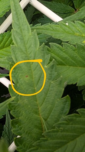 Growreport Bild 4