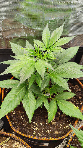 Growreport Bild 10