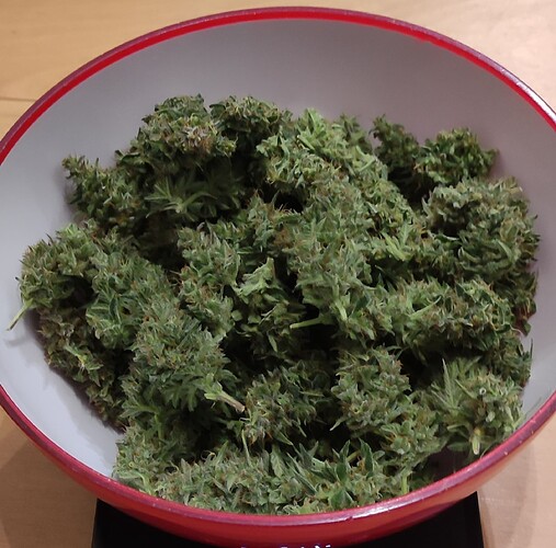 Growreport Bild 15