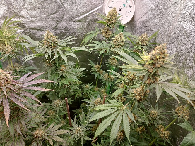 Growreport Bild 11