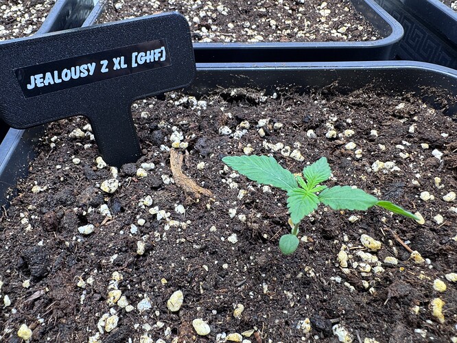 Growreport Bild 16