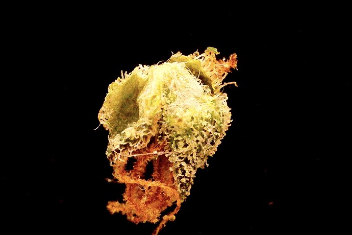 Foto am 27.06.24 um 17.30